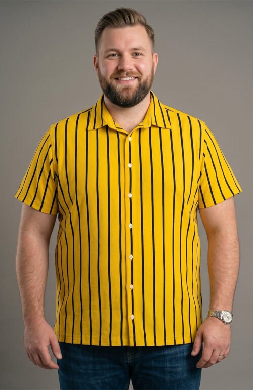 Men Plus Size Boldline Multi Striped Shirts