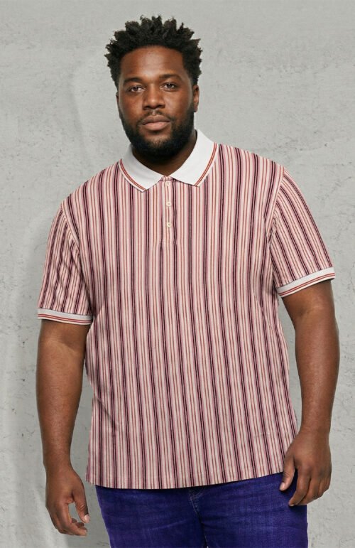 Men Plus Size Majesticline Multi Striped Polo